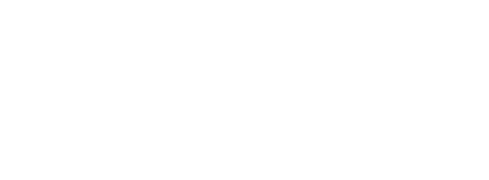 on point logo white