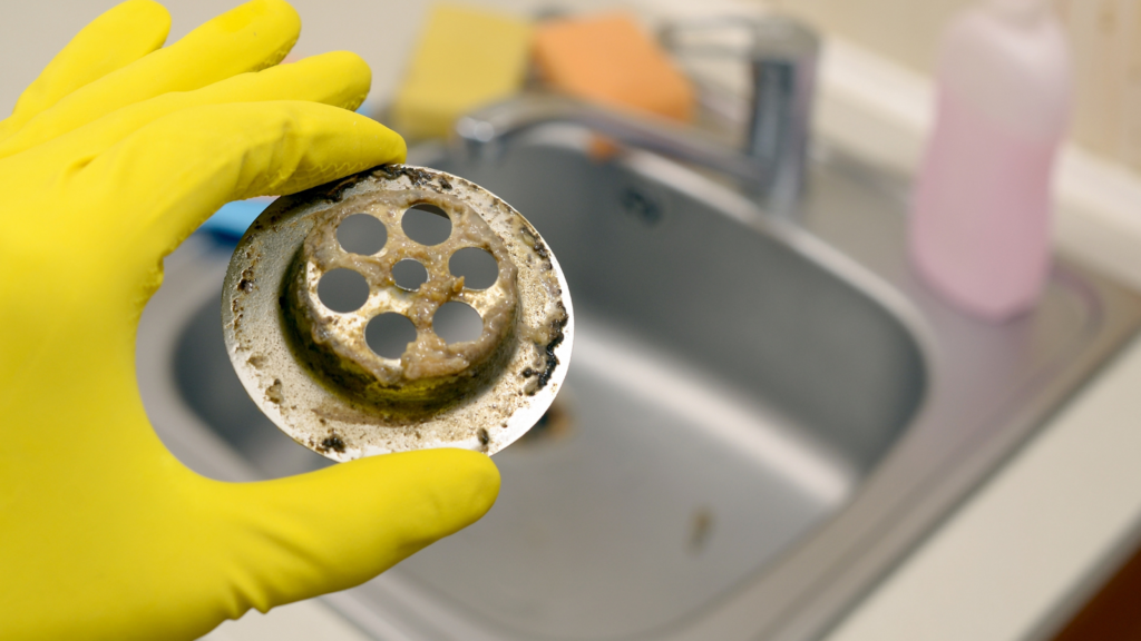 Sewer and Drain Cleaning