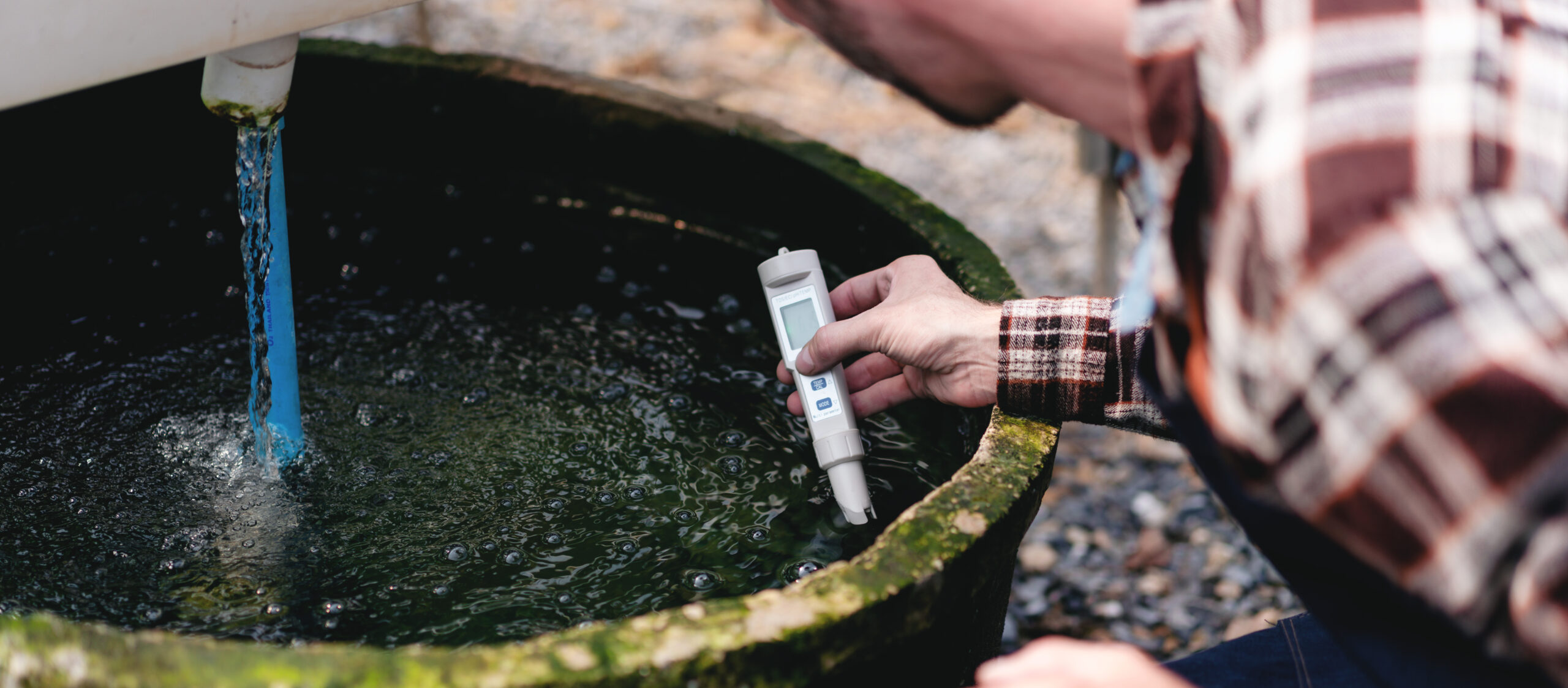 water quality testing
